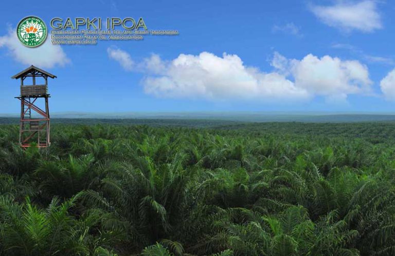 Uni Eropa Keliru Lagi! Emisi Sawit Indonesia Hanya 20-25 ton CO2/Ha/Tahun