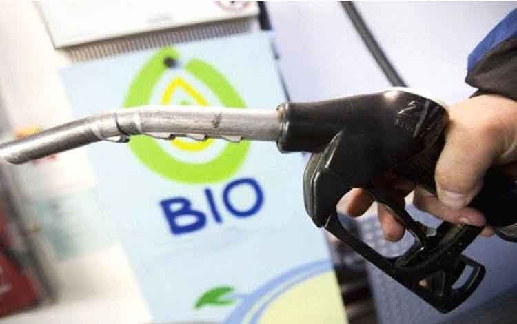 Atasi Perubahan Iklim & Selamatkan Bumi! Bioenergi Sawit Ternyata Bisa Atasi Ini..