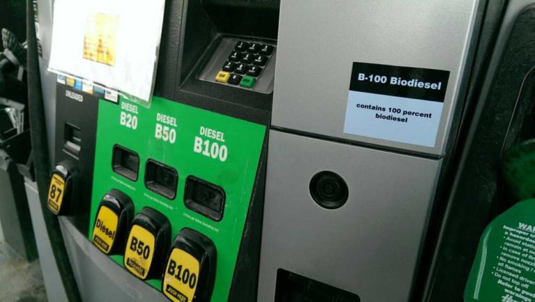 Biodiesel Sawit: Solusi Energi atau Penghambat Penurunan Emisi Indonesia?
