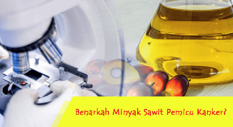 Minyak Sawit Picu Kanker? Antioksidannya Malah Jadi ‘Obat’ Pencegah Kanker.. Ilmiahnya Begini!..