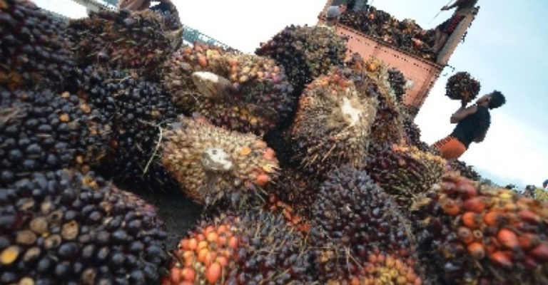 Pabrik Hemat Jutaan Liter Solar, Pakai Limbah Sawit