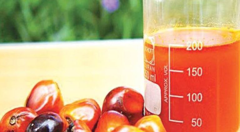 Produksi Rendah, Harga Minyak Sawit Bertahan Tinggi