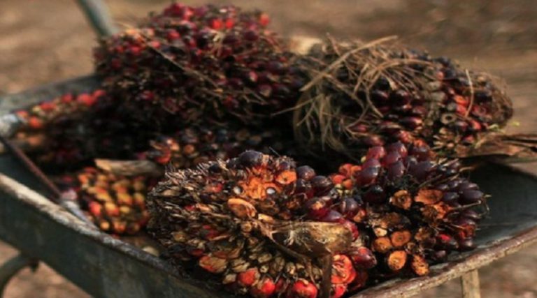 Produksi Mulai Naik, Stok Menunjukkan Pemulihan