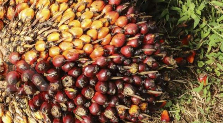Produksi Masih Lesu, Harga Bertahan Tinggi