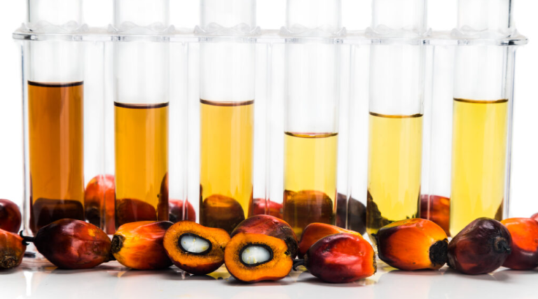 Lawan Kanker Dengan Sawit! Supervitamin E Sawit Jadi Imunoterapi Kanker