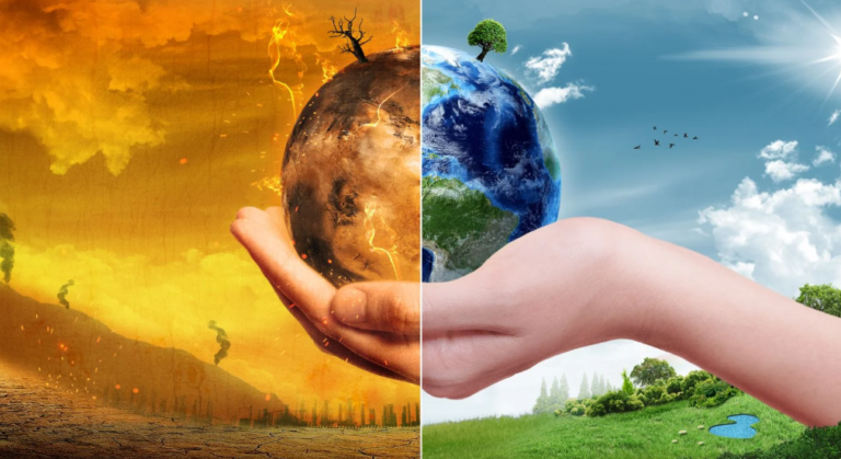 Pembangunan Perkebunan Sawit Menyebabkan Pemanasan Global? Cek Faktanya di Sini!