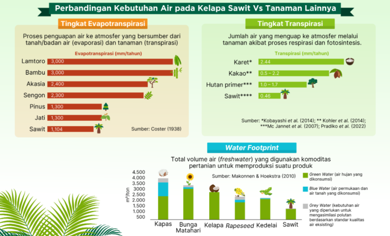 Justru Sawit Itu Hemat Air! Ini Fakta Ilmiahnya..