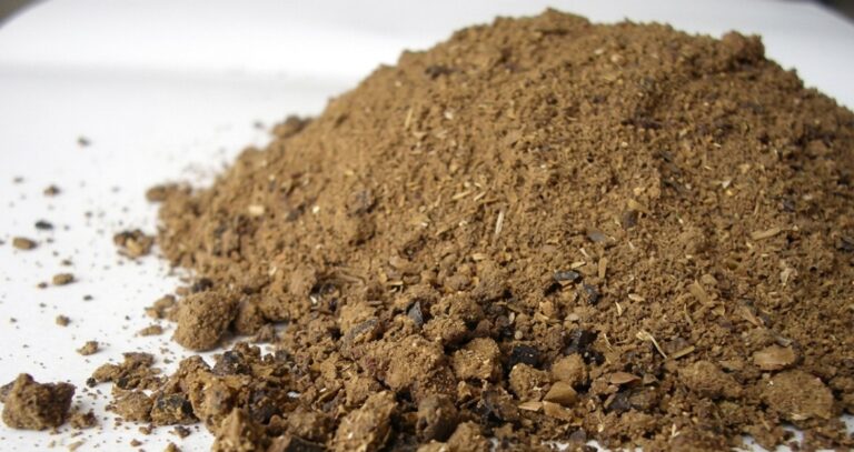 PKM (Palm Kernel Meal): Pemanfaatan Bungkil Inti Sawit untuk Industri Peternakan