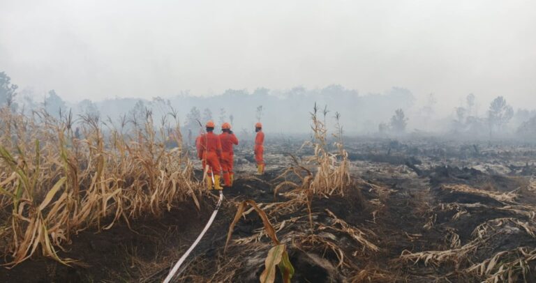 Karhutla 2026: Perkuat Pencegahan dan Kesiapsiagaan Perusahaan Sawit Hadapi Musim Kemarau