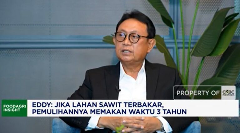 Kemarau Panjang Akibat El Nino, GAPKI: Sungai Mengering Ganggu Distribusi CPO di Kalimantan Barat